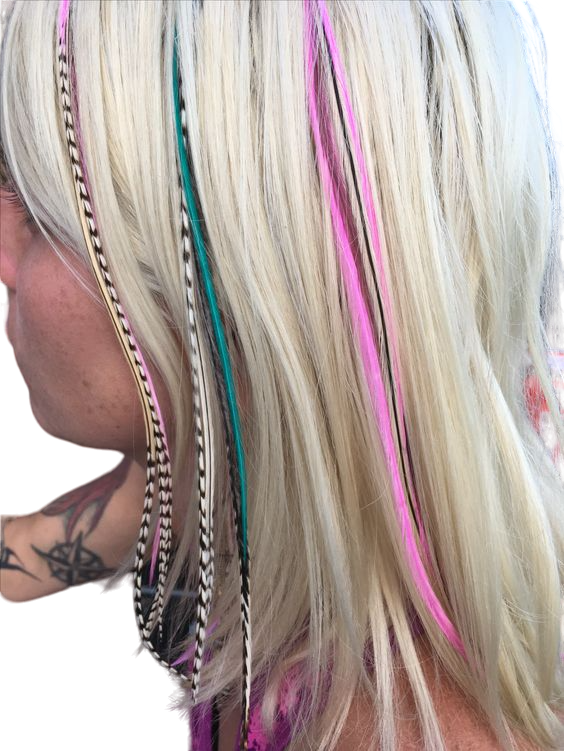 Extensions ploma